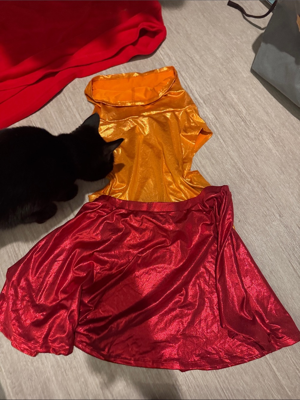Scooby Doo Velma costume
